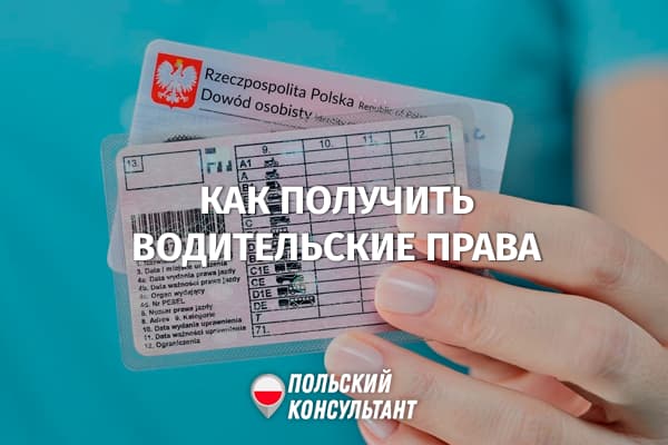 Как получить водительские права в Польше и сколько стоит prawo jazdy для украинцев? 177