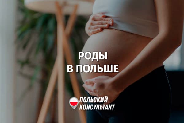 Как бесплатно родить ребенка в Польше и сколько стоят платные услуги? 25