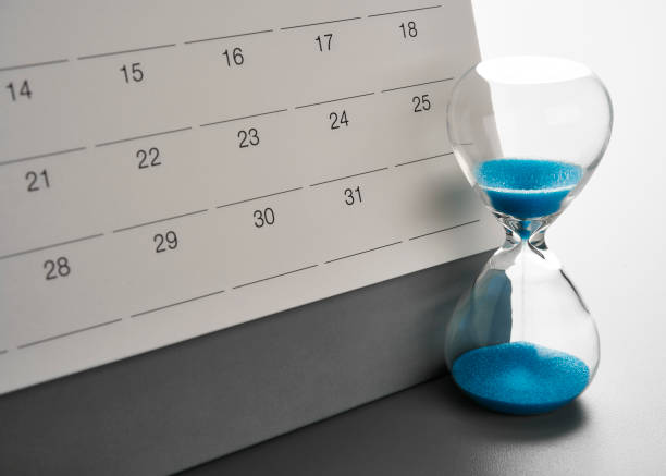 Сколько делается виза в Чехию