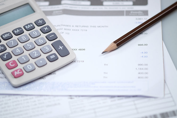 Поплатки в Чехии