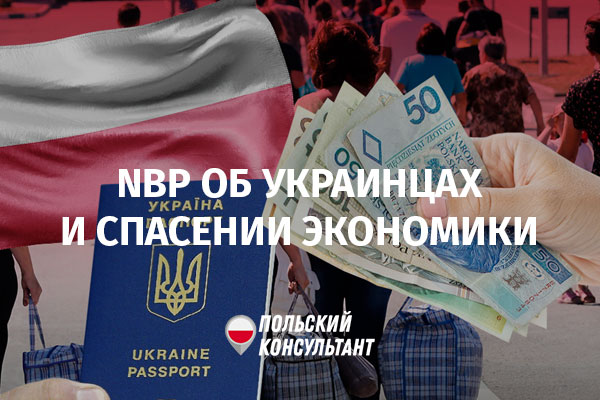 Статистика и прогноз Нацбанка Польши по иностранцам