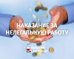 Відповідальність за нелегальну роботу в Польщі 7