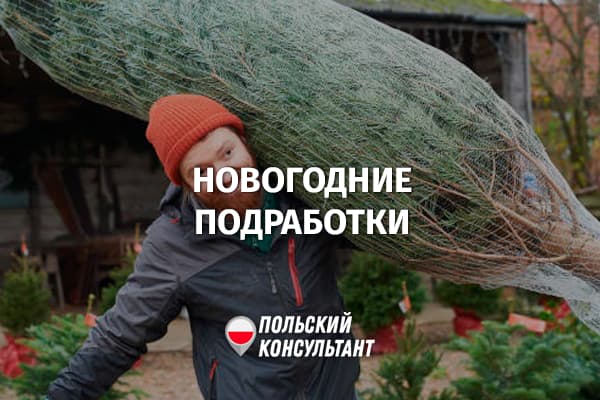 Где найти подработку перед Новым годом и Рождеством в Польше?