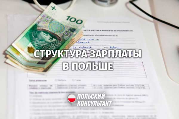 Składniki wynagrodzenia – составляющие заработной платы в Польше 172
