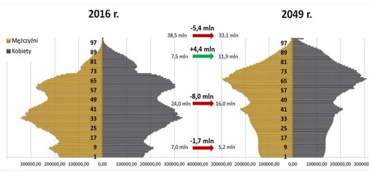 Исчезающая Польша: демографическая ситуация продолжает ухудшаться 2