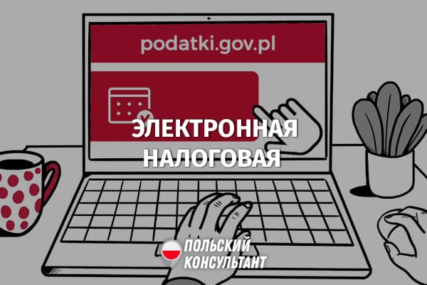 Электронная налоговая: как в Польше вернуть налоги онлайн? 55