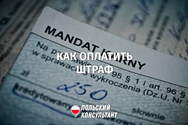 Как оплатить административный штраф в Польше? 114