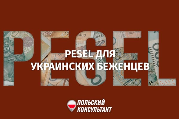 Як отримати ПЕСЕЛЬ зі статусом УКР для біженців у Польщі? 29