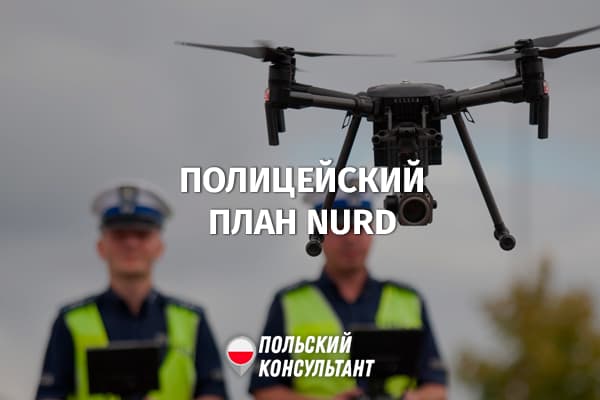 План NURD: полиция Польши объявила охоту за нарушителями ПДД по всей стране 27