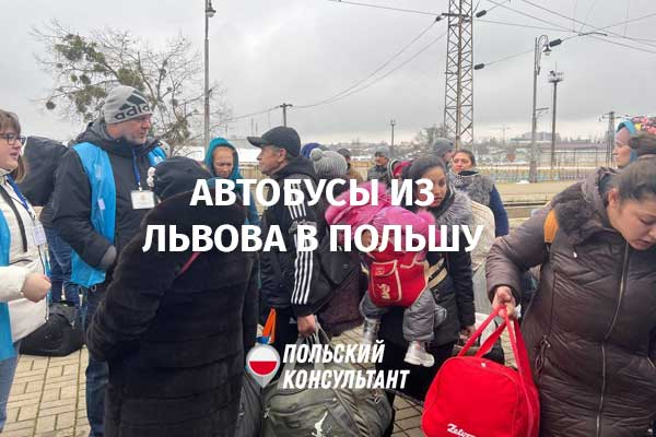 "Птах" предоставляет бесплатные автобусы для эвакуации украинцев из Львова в Польшу
