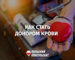 Кто может стать донором крови в Польше и сколько на этом зарабатывают? 4
