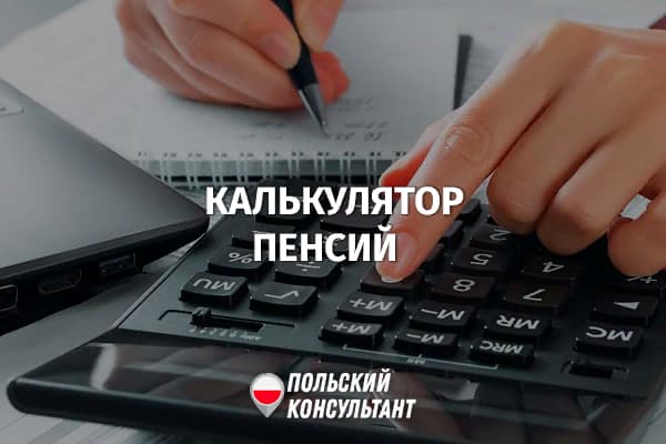 Как использовать калькулятор пенсий от ZUS в Польше? 4