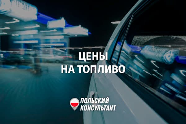 Цены на бензин летом 2023 года