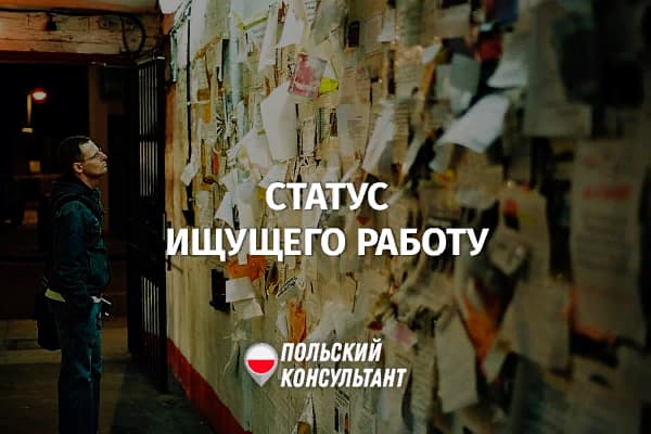 Что дает статус ищущего работу в Польше