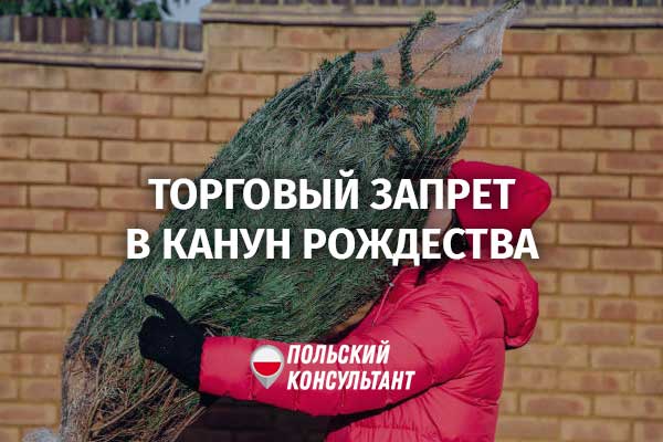 Можно ли в Польше купить елку в Сочельник 24 декабря