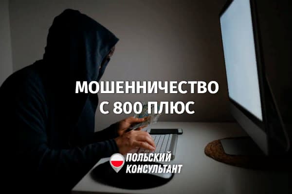 Мошенники обманывают с 800 плюс в Польше
