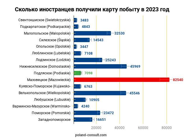 Скільки іноземців отримали карти побиту у 2023 році