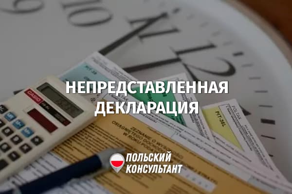 Что делать, если налоговая декларация в Польше не подана вовремя?