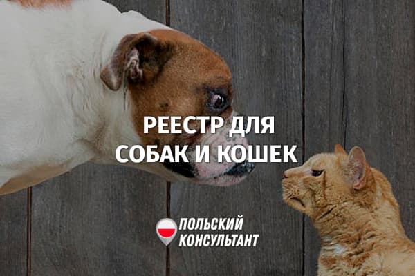 KROPiK Национальный реестр маркированных собак и кошек