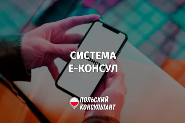 Как работает система е-Консул для украинцев в Польше?