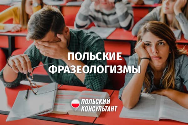 Фразеологизмы и идиомы в польском языке