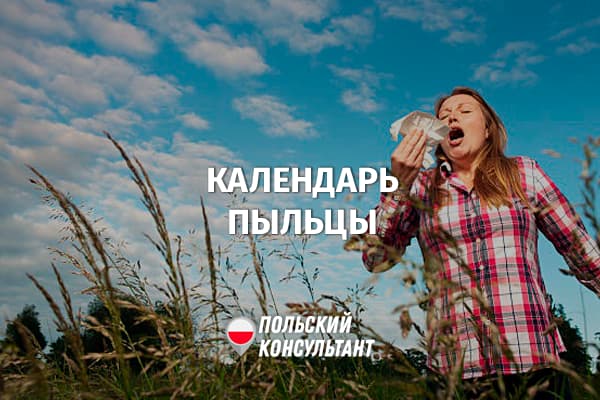 В каком месяце в Польше цветут растения аллергены?