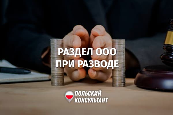 Как делится ООО при расторжении брака в Польше?