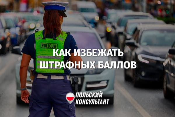 Как избежать начисления штрафных баллов в Польше?