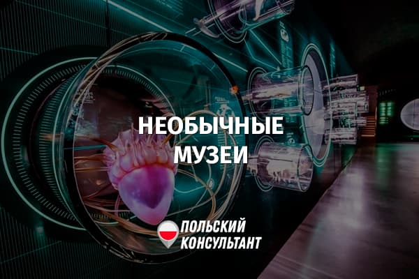 Странные музеи Польши