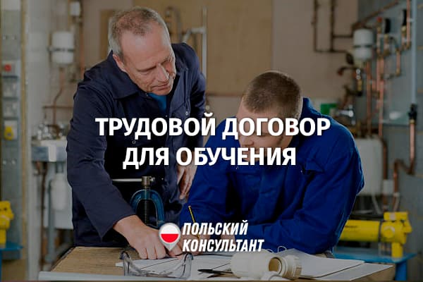 Что такое трудовой договор для профессионального обучения?