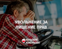 Могут ли уволить в Польше водителя, которого лишили прав?