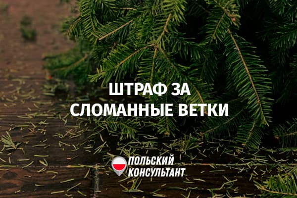 Штрафы за сломанные ветви в Польше