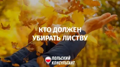 Штраф за неубранную листву возле дома в Польше